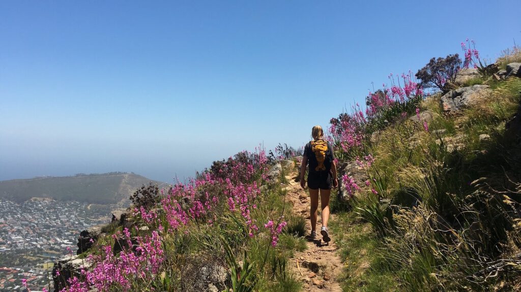 Devil's Peak wandeling Kaapstad Zuid-Afrika
